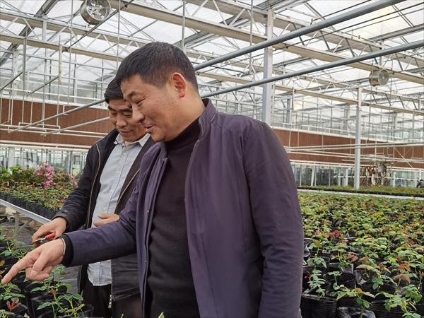 诸新良和农户一起研究花木种植技术。受访者供图