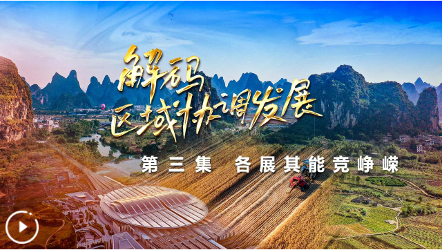 四集政论片《解码区域协调发展》第三集《各展其能竞峥嵘》