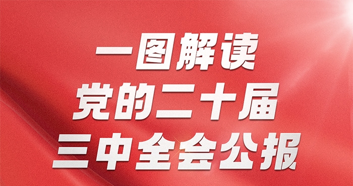 一图解读党的二十届三中全会公报